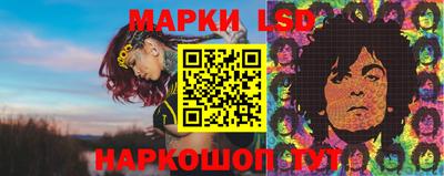 мяу мяу мука Краснознаменск