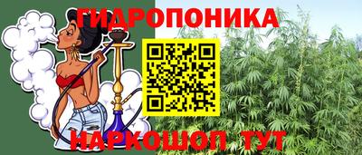 мяу мяу мука Краснознаменск