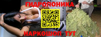 мяу мяу мука Краснознаменск