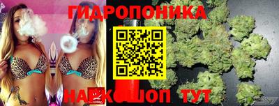 стаф Краснокаменск